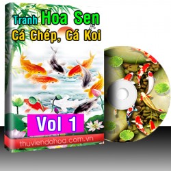 Tranh hoa sen, cá chép cá koi Vol 1(570 mẫu)