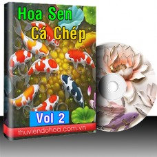 Tranh Hoa Sen Cá Chép Cá Koi Vol 2 (548 mẫu)