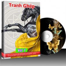 Tranh Ghép vol 7 (906 mẫu)